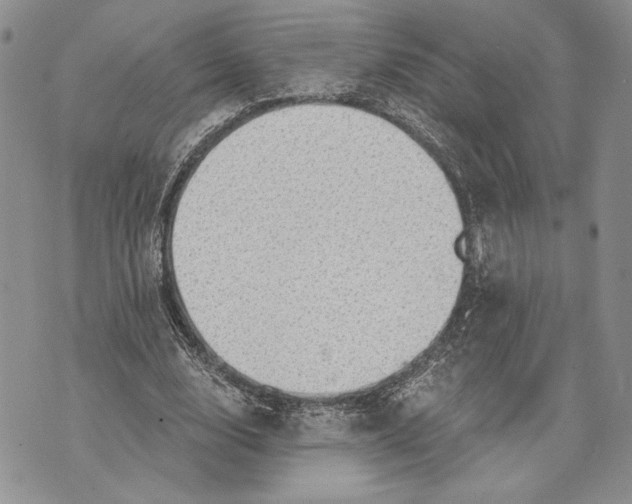 X0000070820632200607071717
