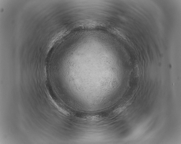 X0000070820638200607071717