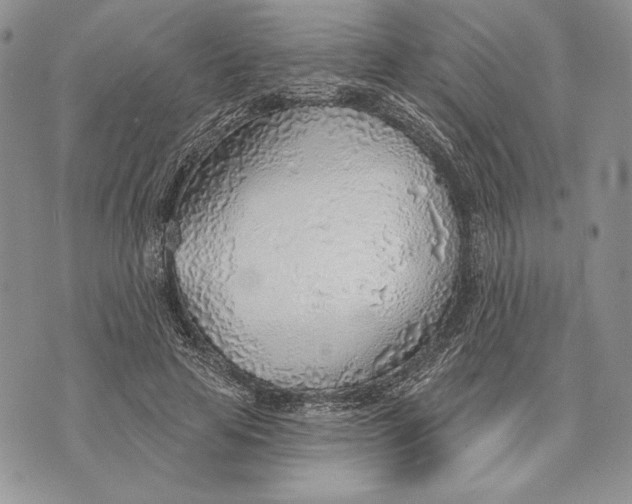 X0000070820641200607071717