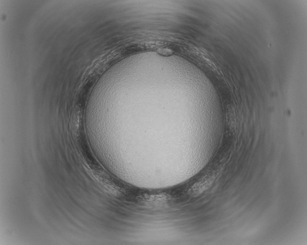 X0000070820645200607071717