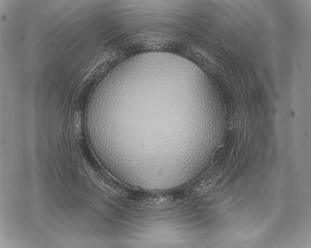 X0000070820646200607071717