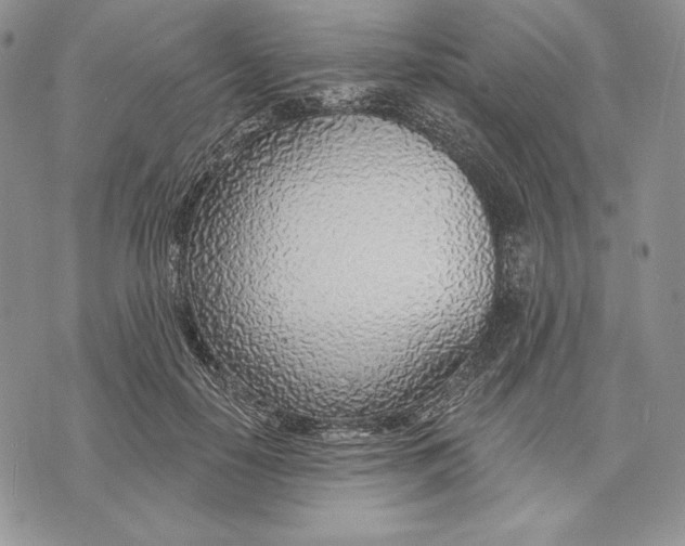 X0000070820650200607071717