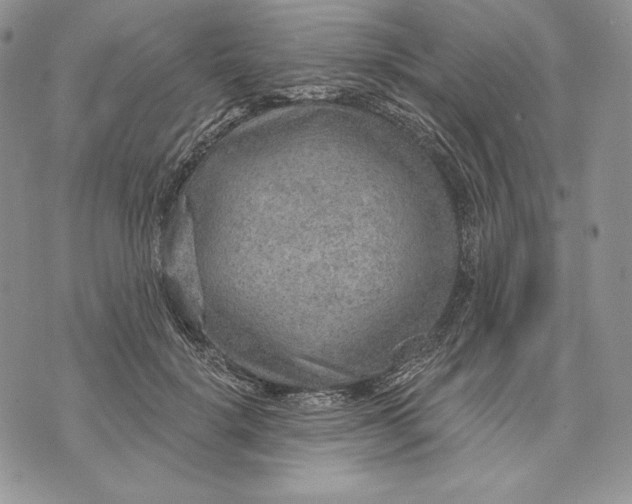 X0000070820652200607071718