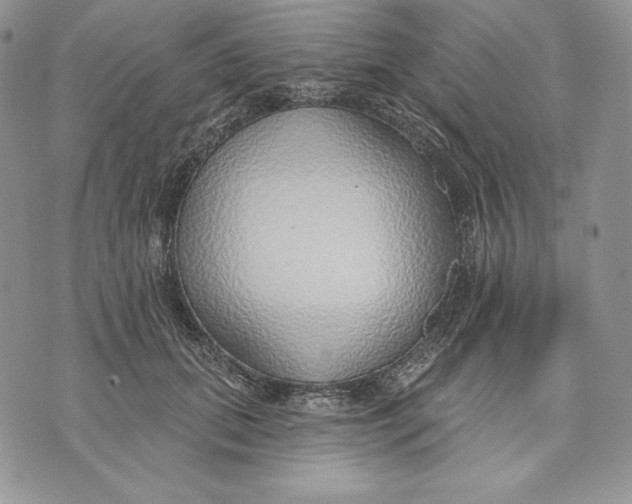X0000070820655200607071718