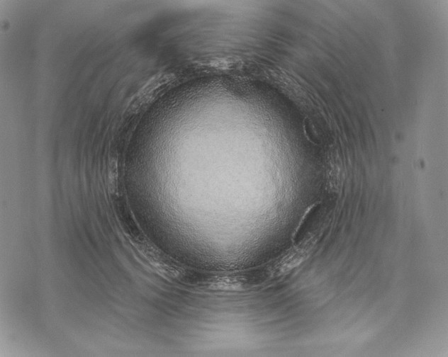 X0000070820656200607071718