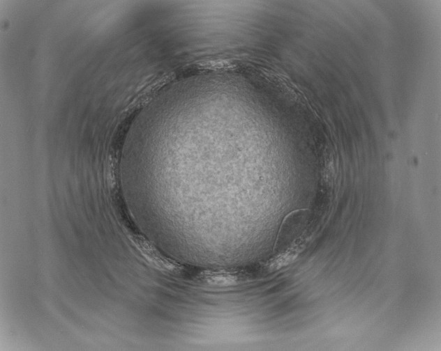 X0000070820658200607071718