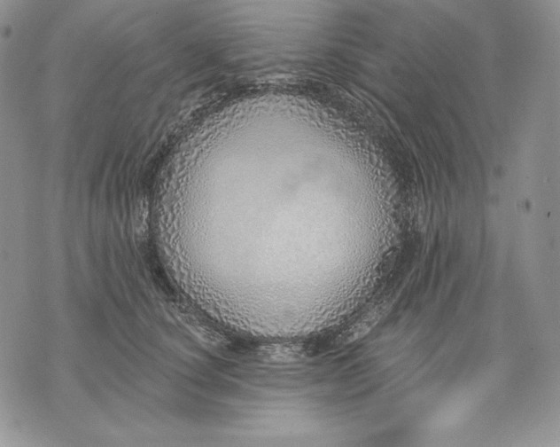 X0000070820660200607071718