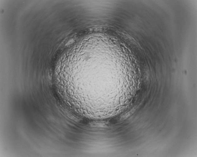 X0000070820661200607071718