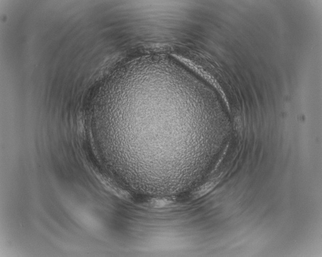 X0000070820662200607071718