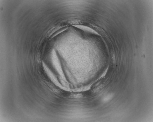 X0000070820665200607071718