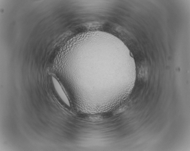 X0000070820666200607071718