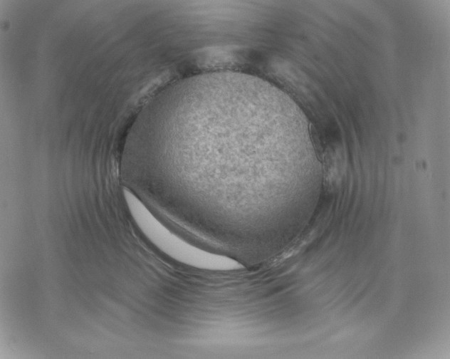X0000070820669200607071718