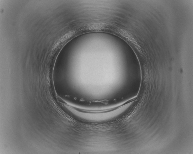 X0000070820681200607071717