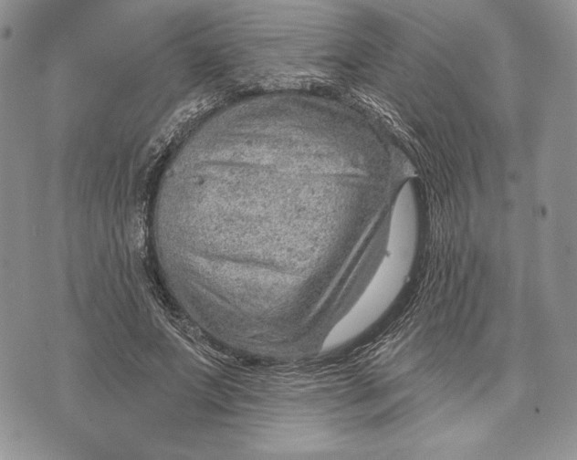 X0000070820687200607071717
