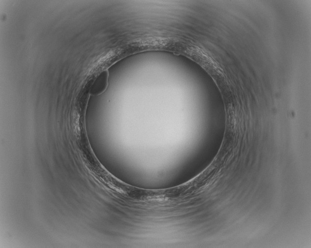 X0000070820692200607071717