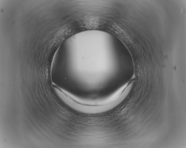 X0000070820697200607071717