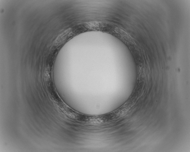X0000070820702200607071717