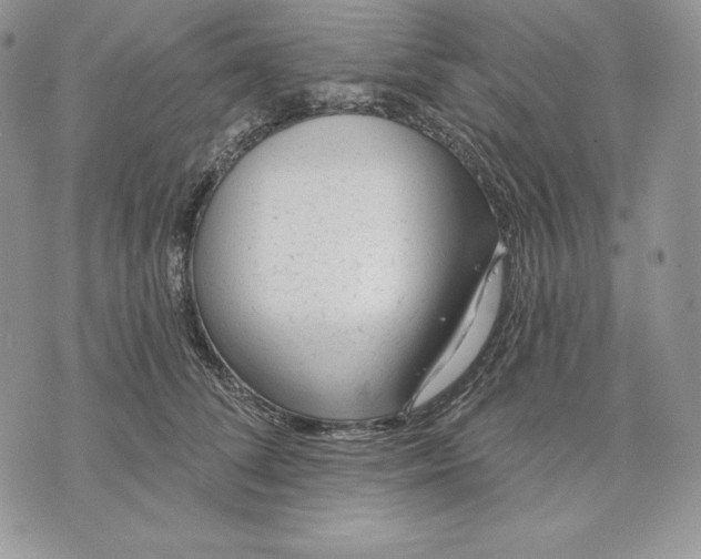 X0000070820708200607071716