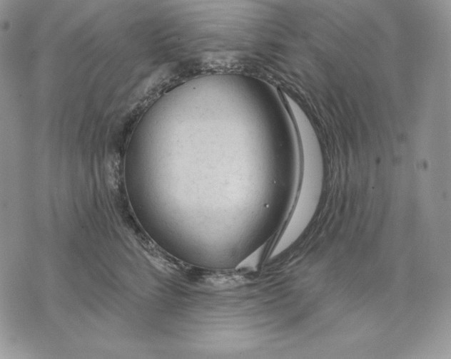 X0000070820712200607071716