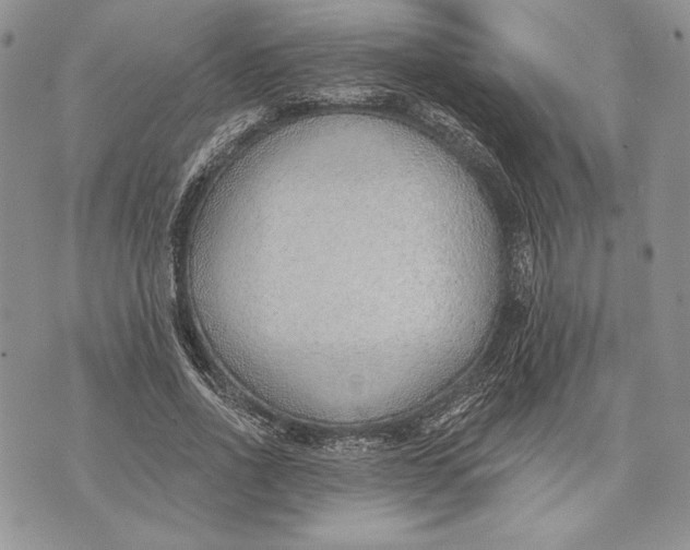 X0000070820734200607071716