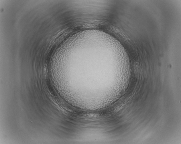 X0000070820741200607071716