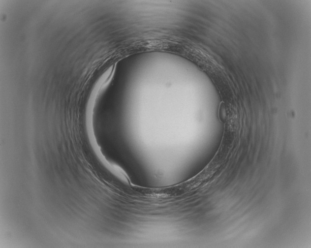 X0000070820748200607071716