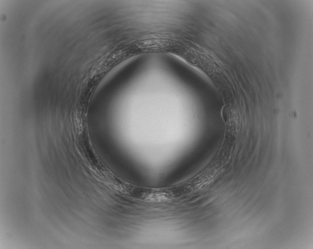 X0000070820751200607071716