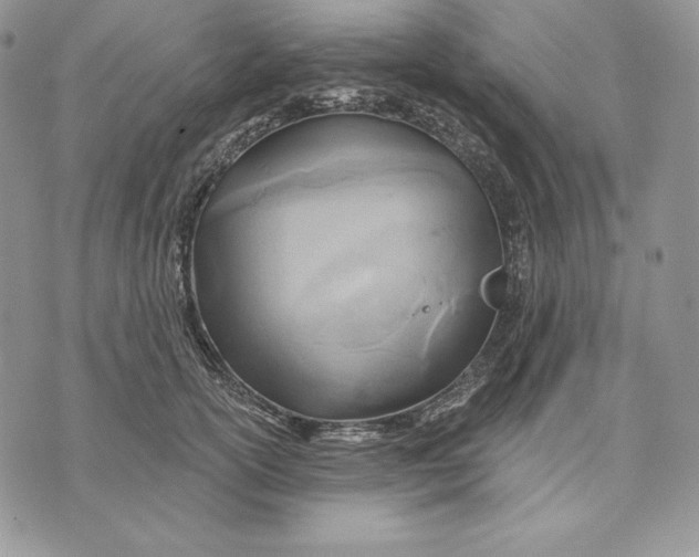 X0000070820754200607071716