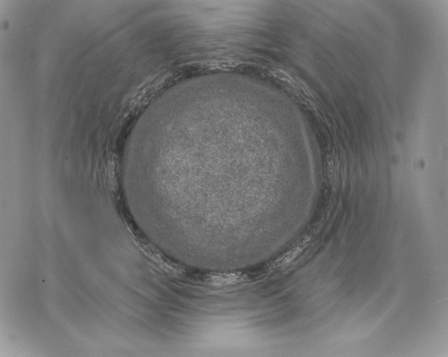 X0000070820757200607071716