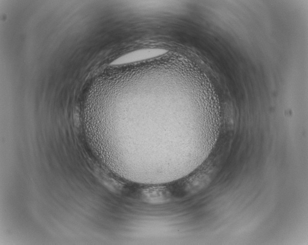 X0000070820761200607071716