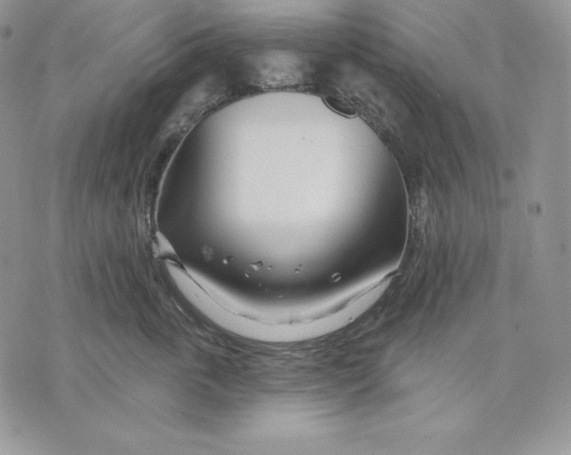 X0000070820763200607071716