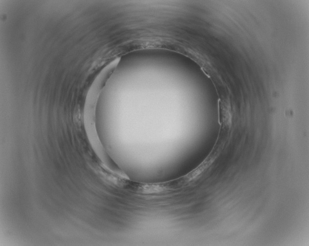 X0000070820766200607071716