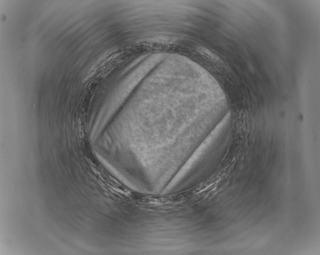 X0000070820774200607071715