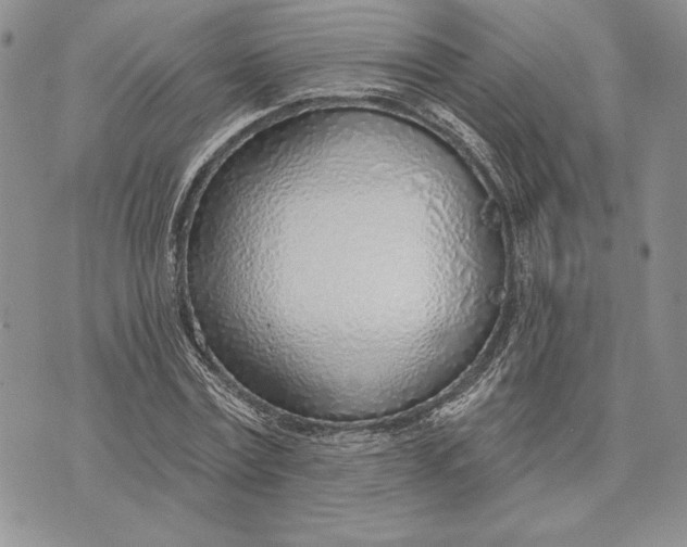 X0000070820779200607071715