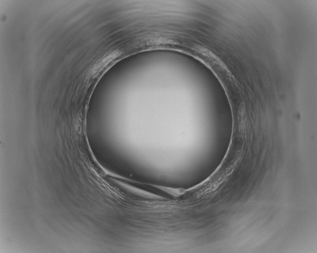 X0000070820785200607071715