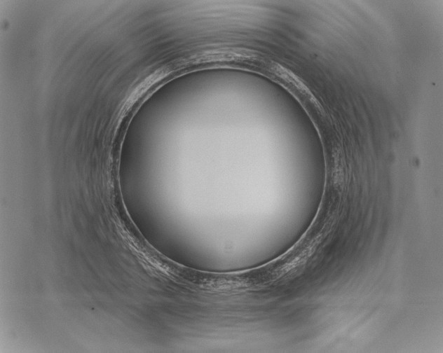 X0000070820786200607071715