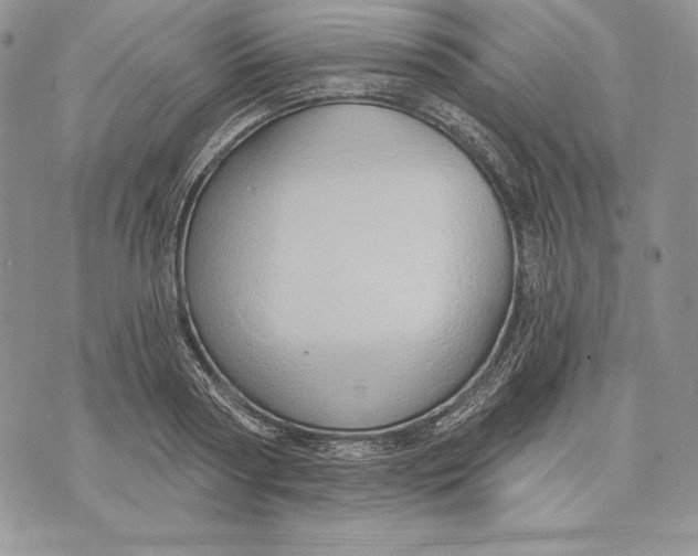 X0000070820794200607071715