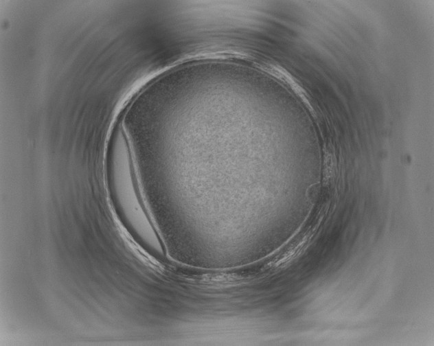 X0000070820795200607071715