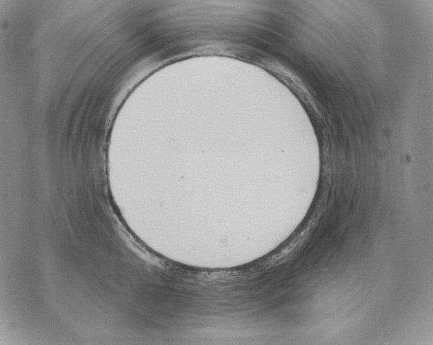 X0000070820808200607071715