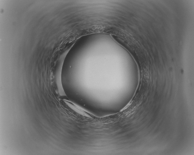 X0000070820818200607071714
