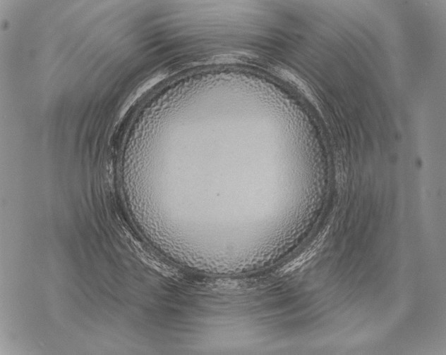 X0000070820827200607071714