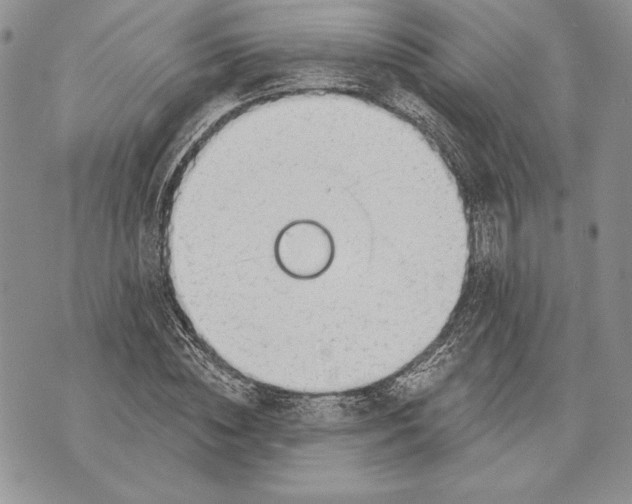 X0000070820828200607071714