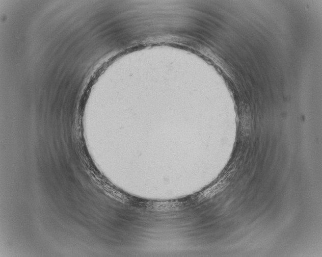X0000070820832200607071714