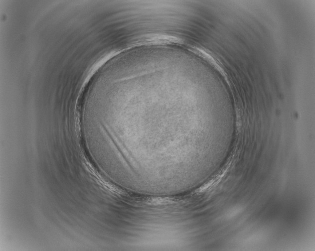 X0000070820835200607071714