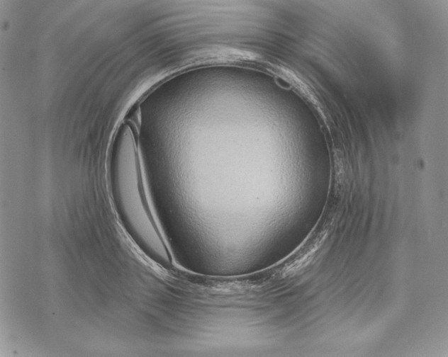 X0000070820843200607071714