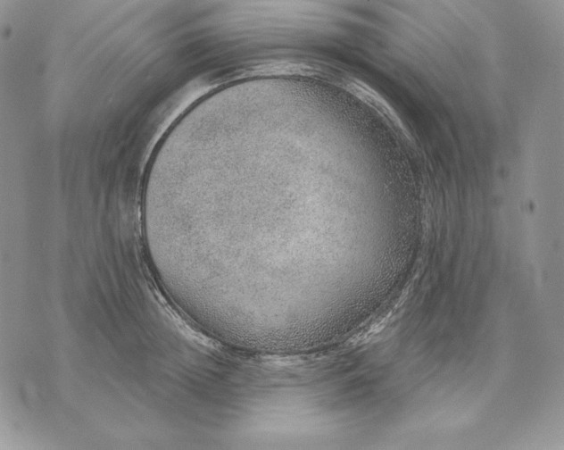 X0000070820852200607071714