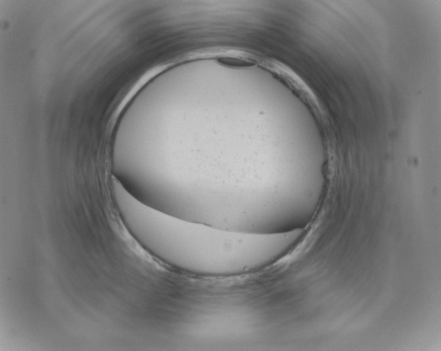 X0000070820860200607071715