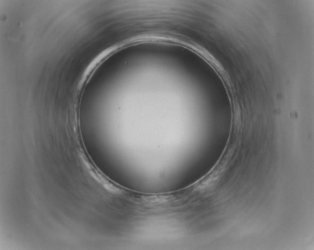 X0000070820862200607071715