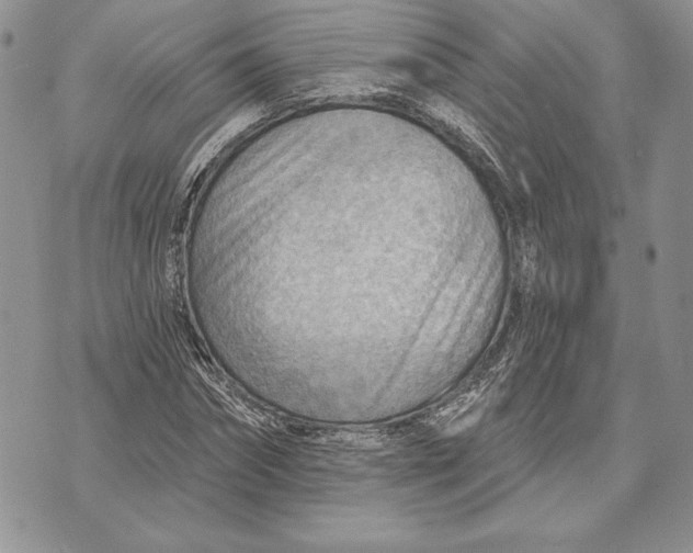 X0000070820874200607071714