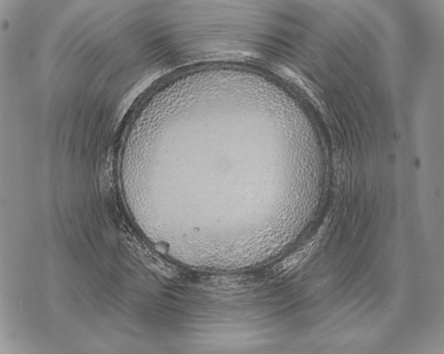 X0000070820875200607071714